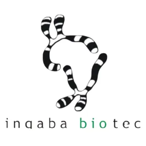 ib